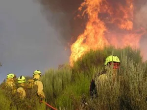 incendios en Cataluña