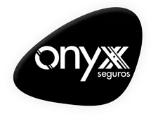 Onyx_Seguros