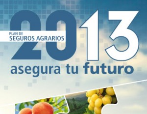 Seguros Agrarios 2013