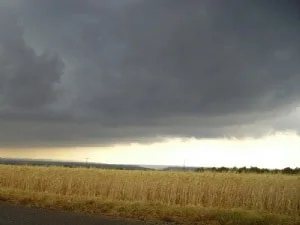 seguros agrarios
