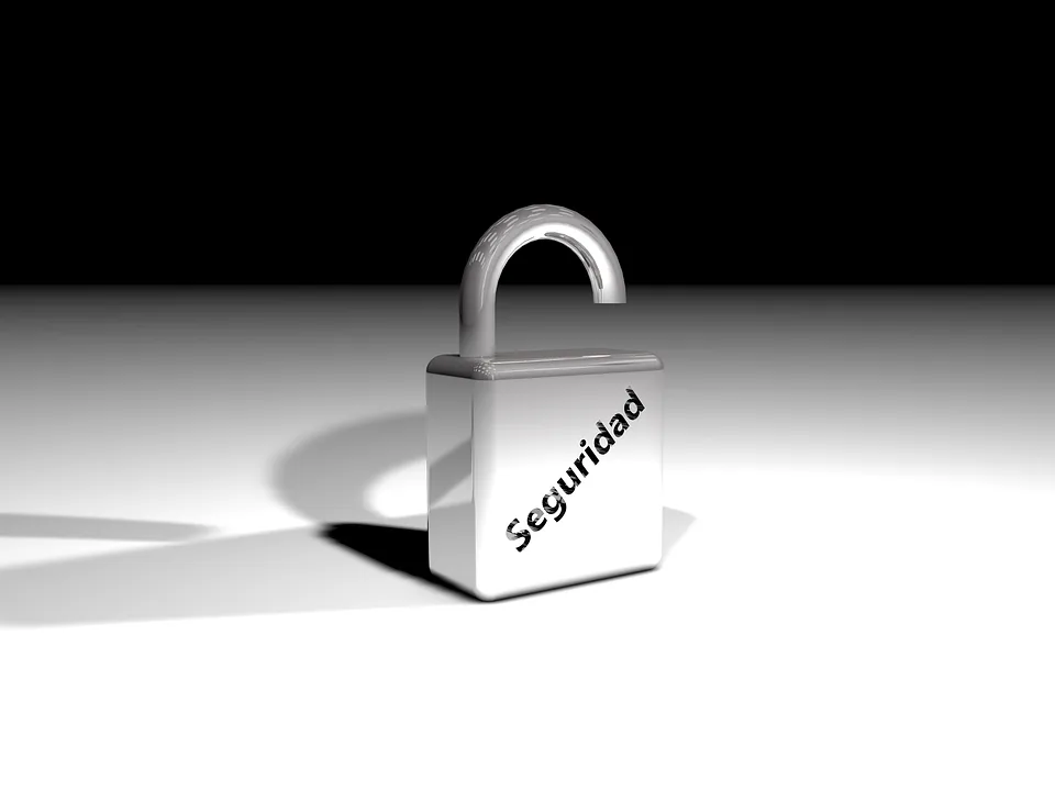 LOS SEGUROS MAS RAROS