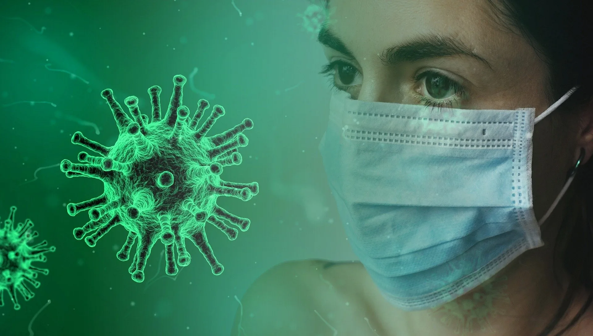 seguros de salud, seguros, 