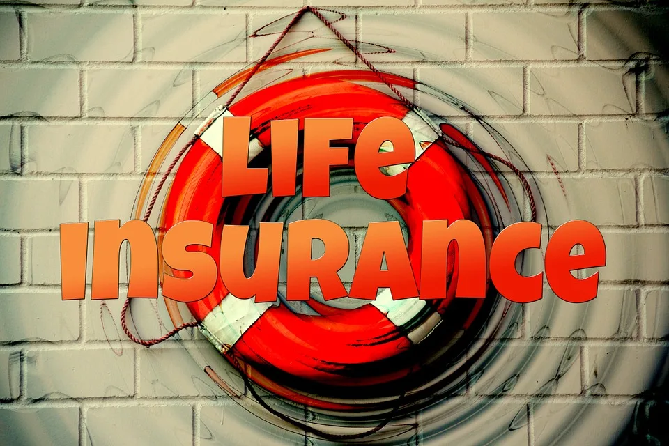 SEGURO DE VIDA, SEGUROS DE HOGAR, SEGUROS